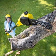 Best Commercial Tree Services  in Eagle Point, AL